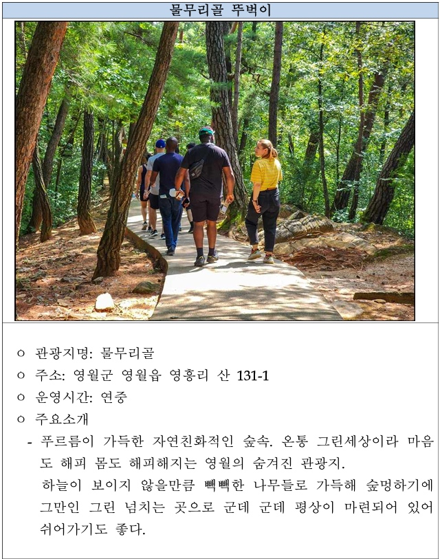 영월 워케이션 신청