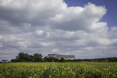 5월-국내-여행지-추천-제주도