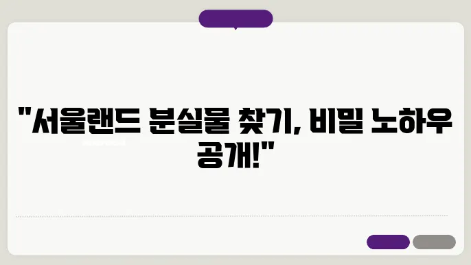 서울랜드 분실물 찾은 성공 스토리 분실물, 분실물 센터, 분실물 찾는 법