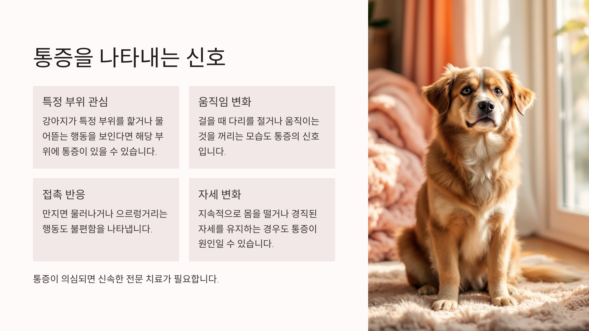 통증을 나타내는 신호