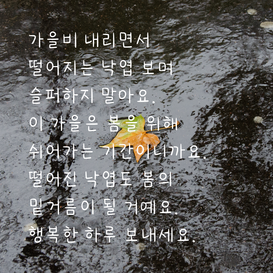 가을비 내리는 날 인사말 이미지 문구 모음