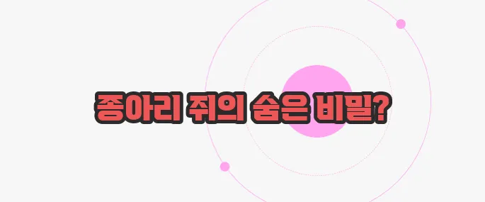 종아리 쥐나는 이유 가볍게 살펴볼까요
