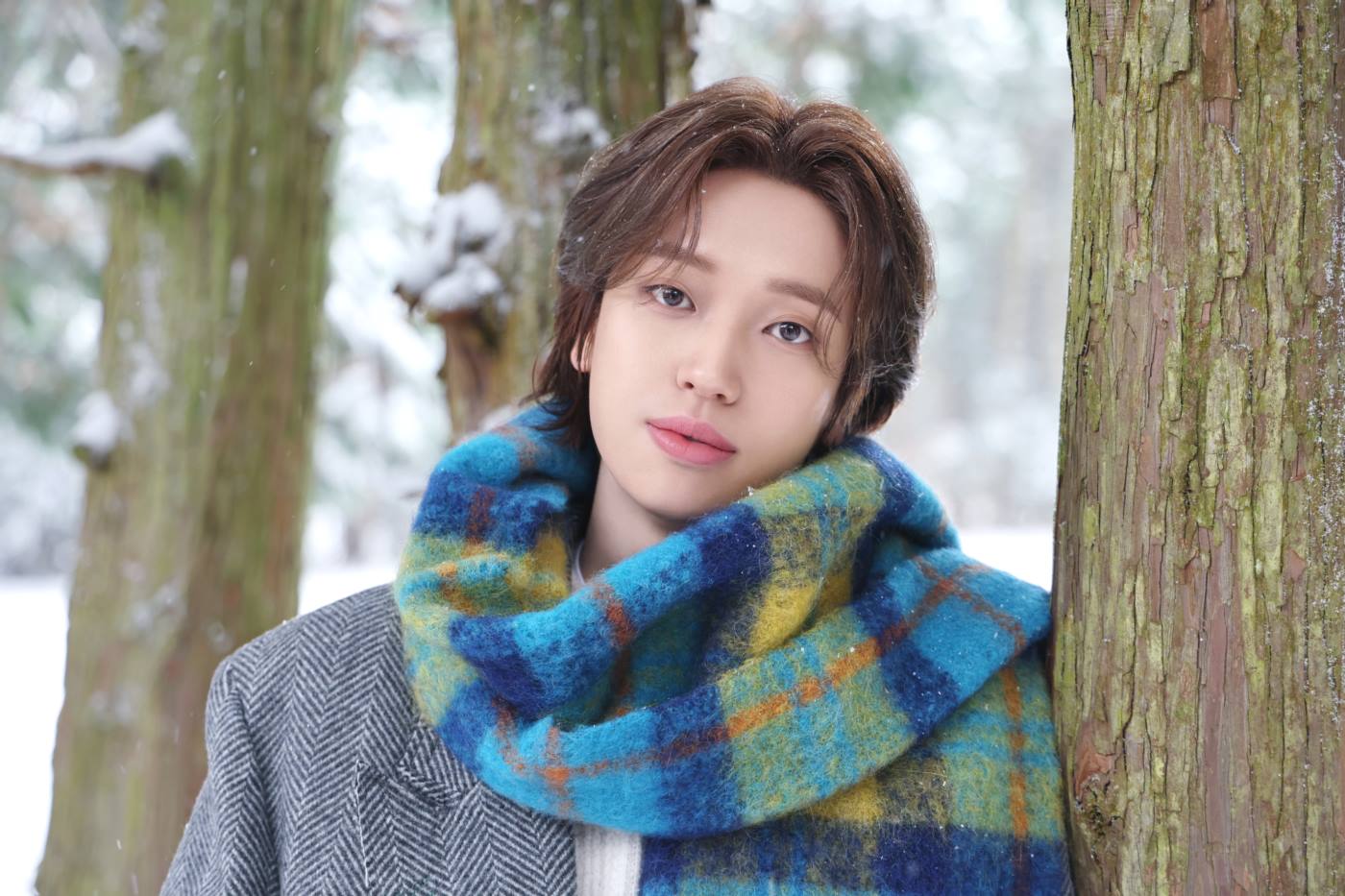 니엘 이미지, 뉴엔트리