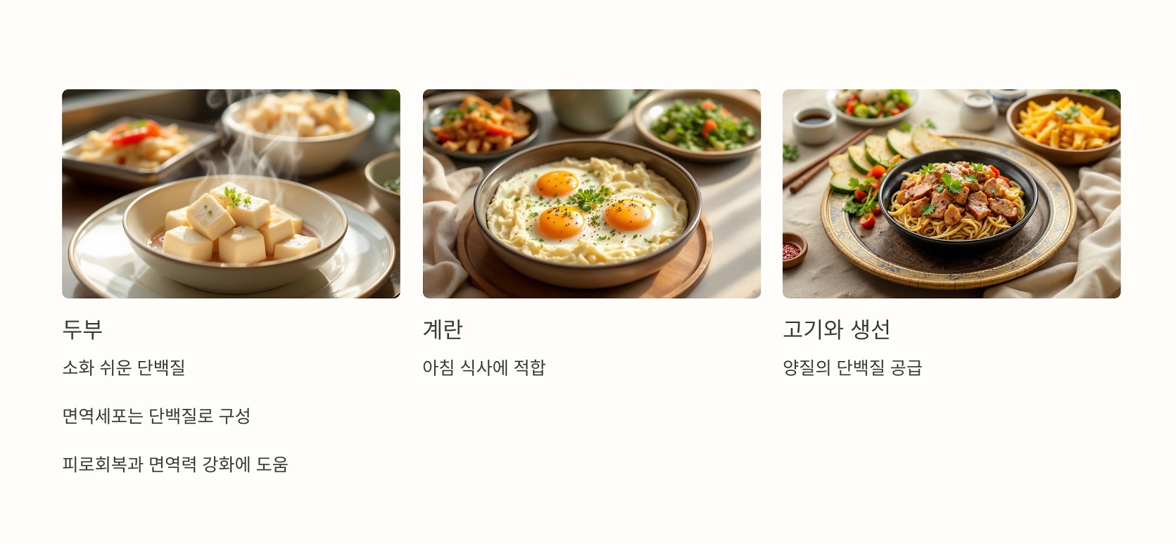 단백질로 기초 체력 다지기