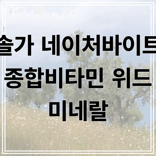 솔가 네이처바이트 종합비타민
