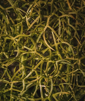 변비에 좋은 음식 해결방법 운동