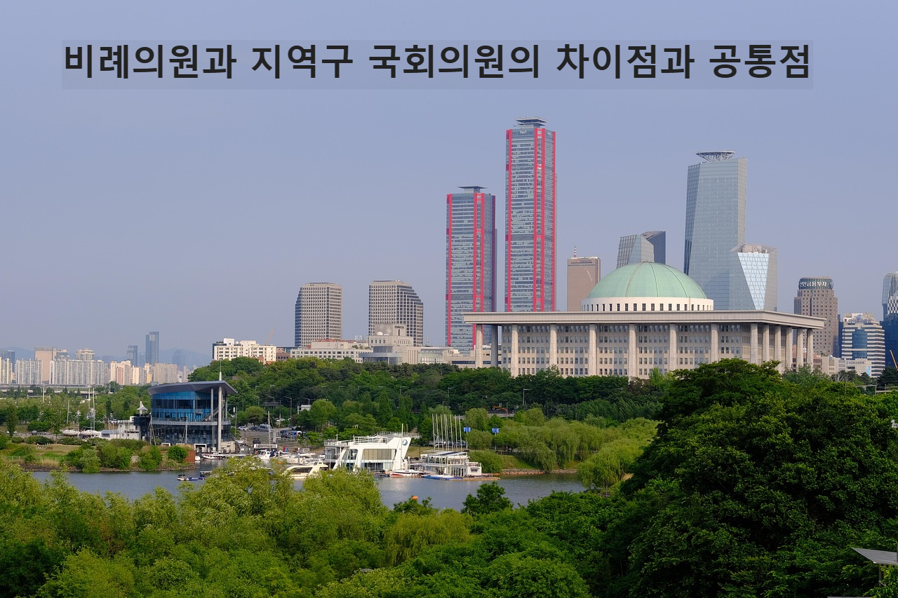 비례대표의원과 지역구 국회의원의 차이점 및 공통점