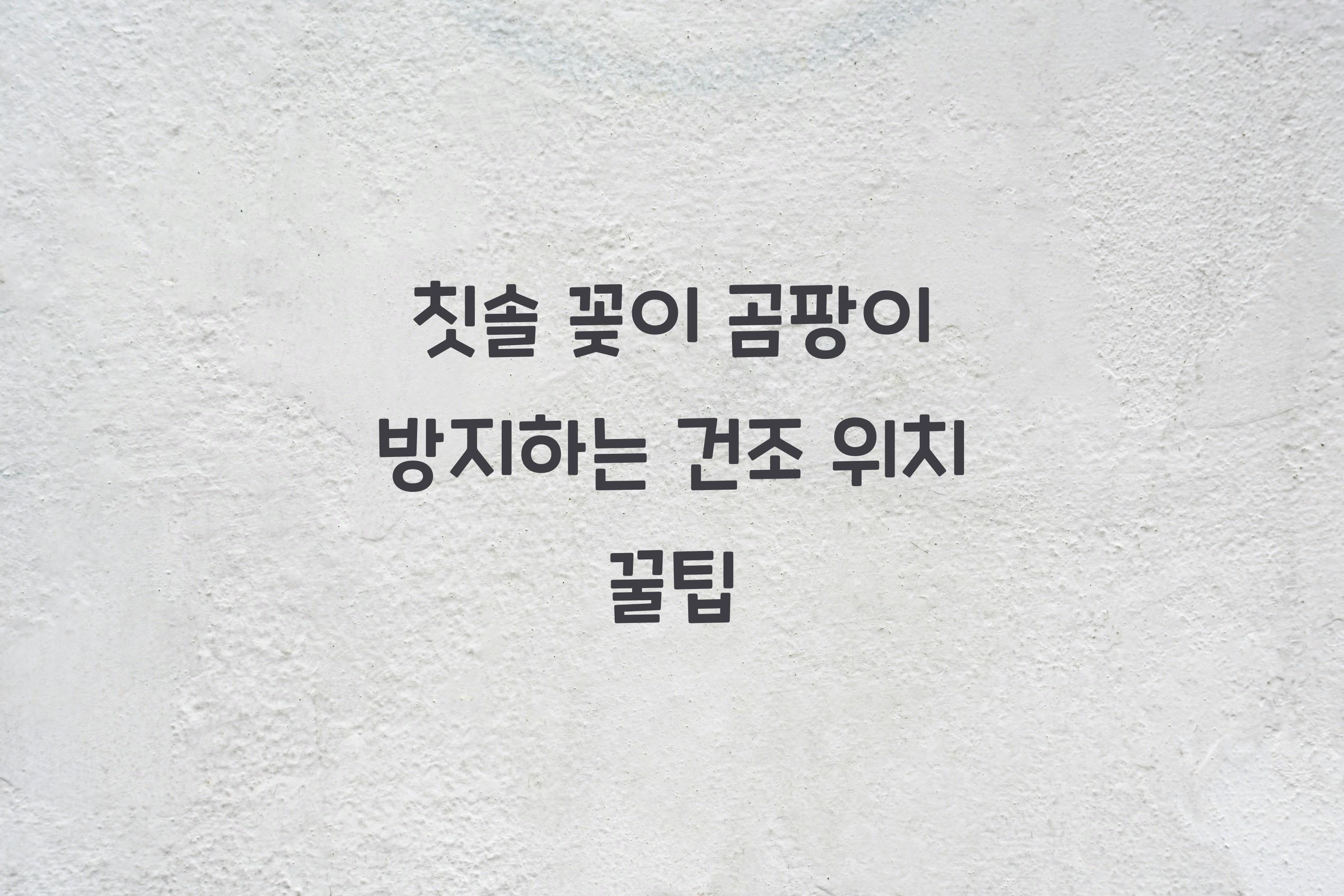 칫솔 꽂이 곰팡이 방지하는 건조 위치