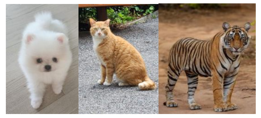 똥꿈, 변기똥꿈, 화장실 꿈/상황별 똥꿈 해몽 모음(동물의 똥꿈)- 강아지 고양이 호랑이 사진