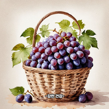 포도 효능
