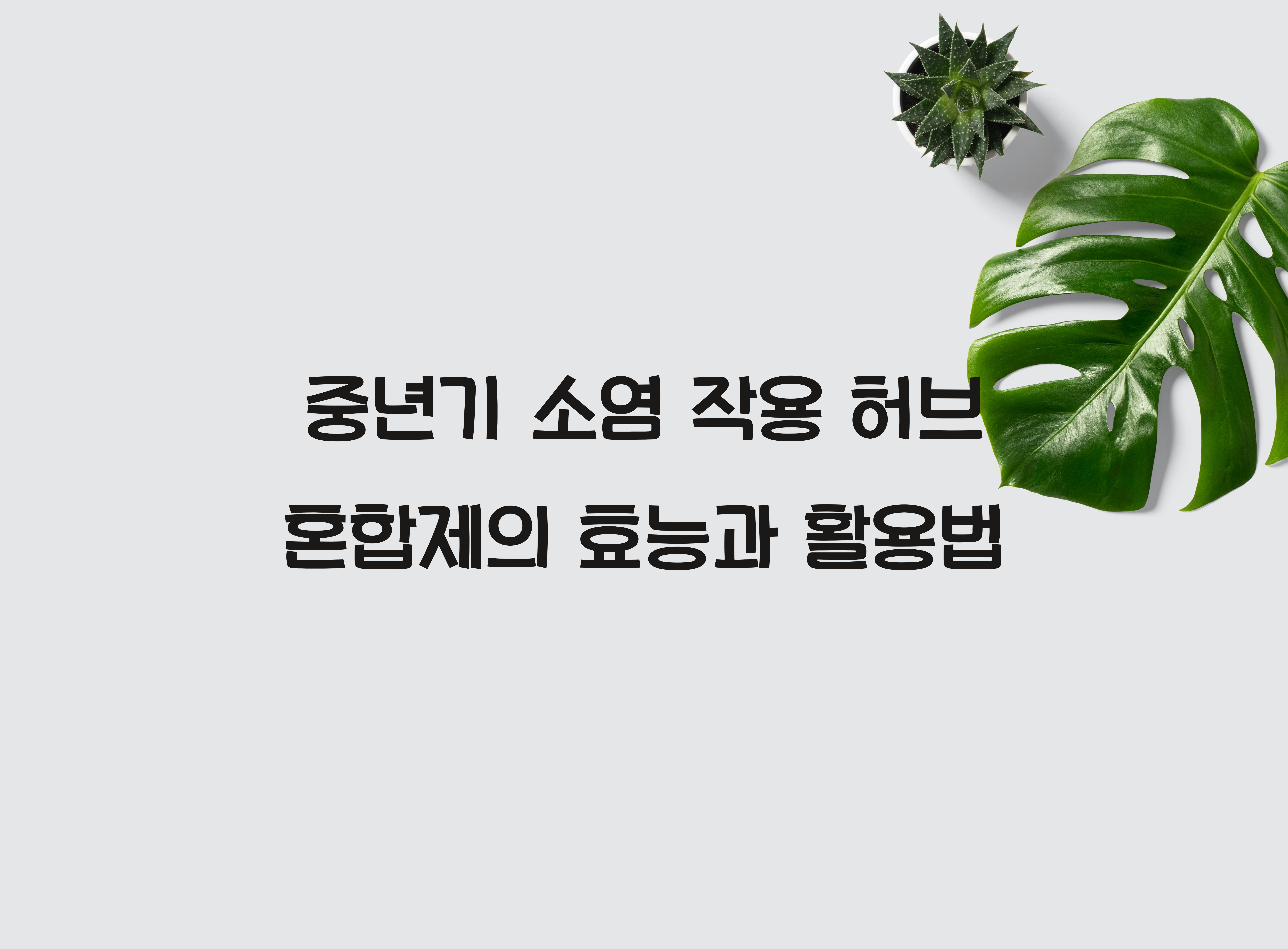 중년기 소염 작용 허브 혼합제