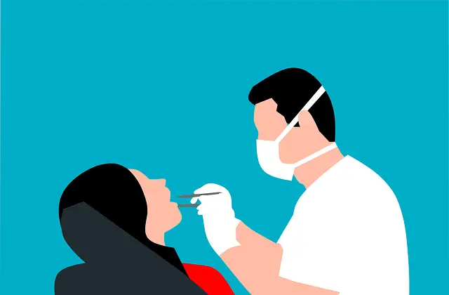 임플란트 종류 완전 정복