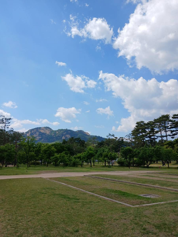 경복궁 드넓은 뜰