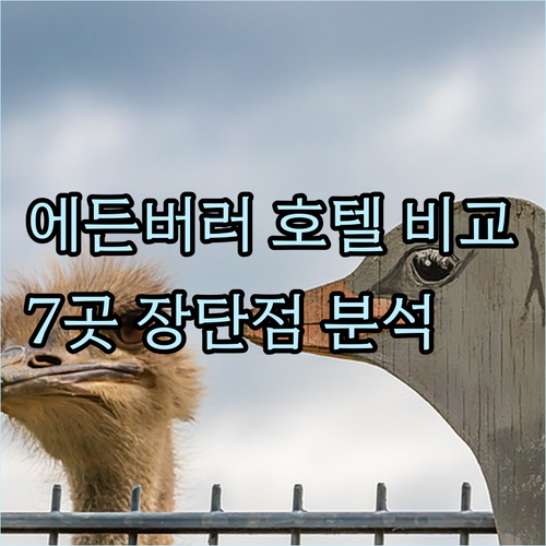 에든버러 호텔 7곳 비교분석 장점 단
