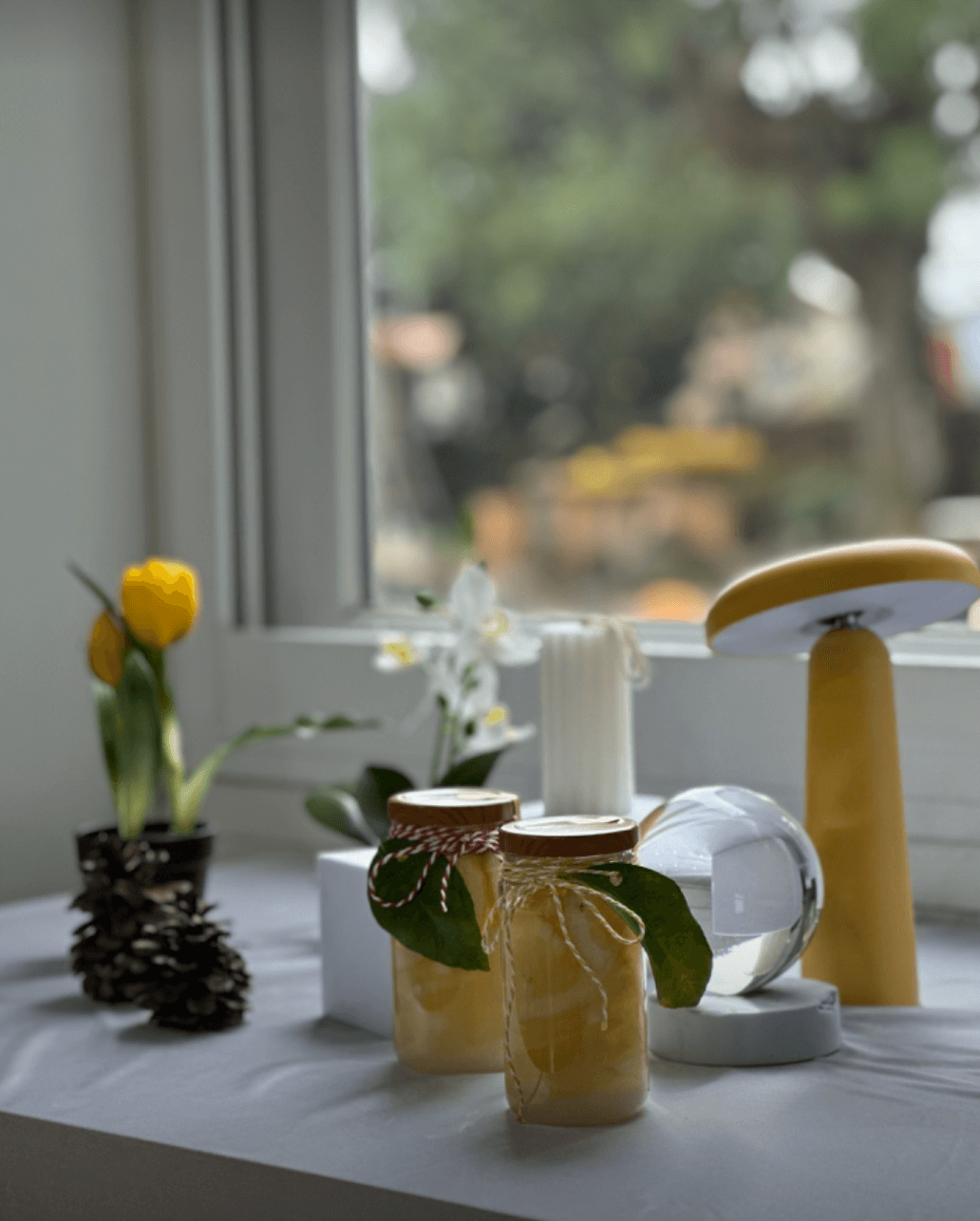 제주도 이색체험 레몬뮤지엄