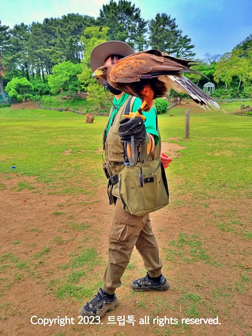 맹금류가 사육사의 팔위에 앉아있다
