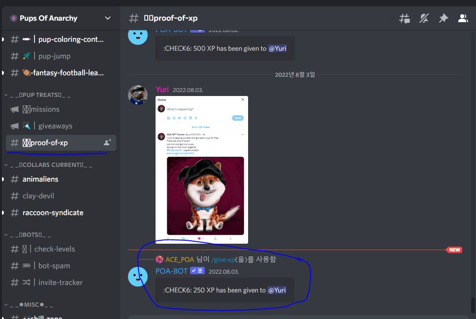 디스코드-미션참여-경험치 받기