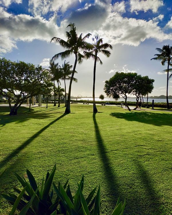 트래블 버블 뜻