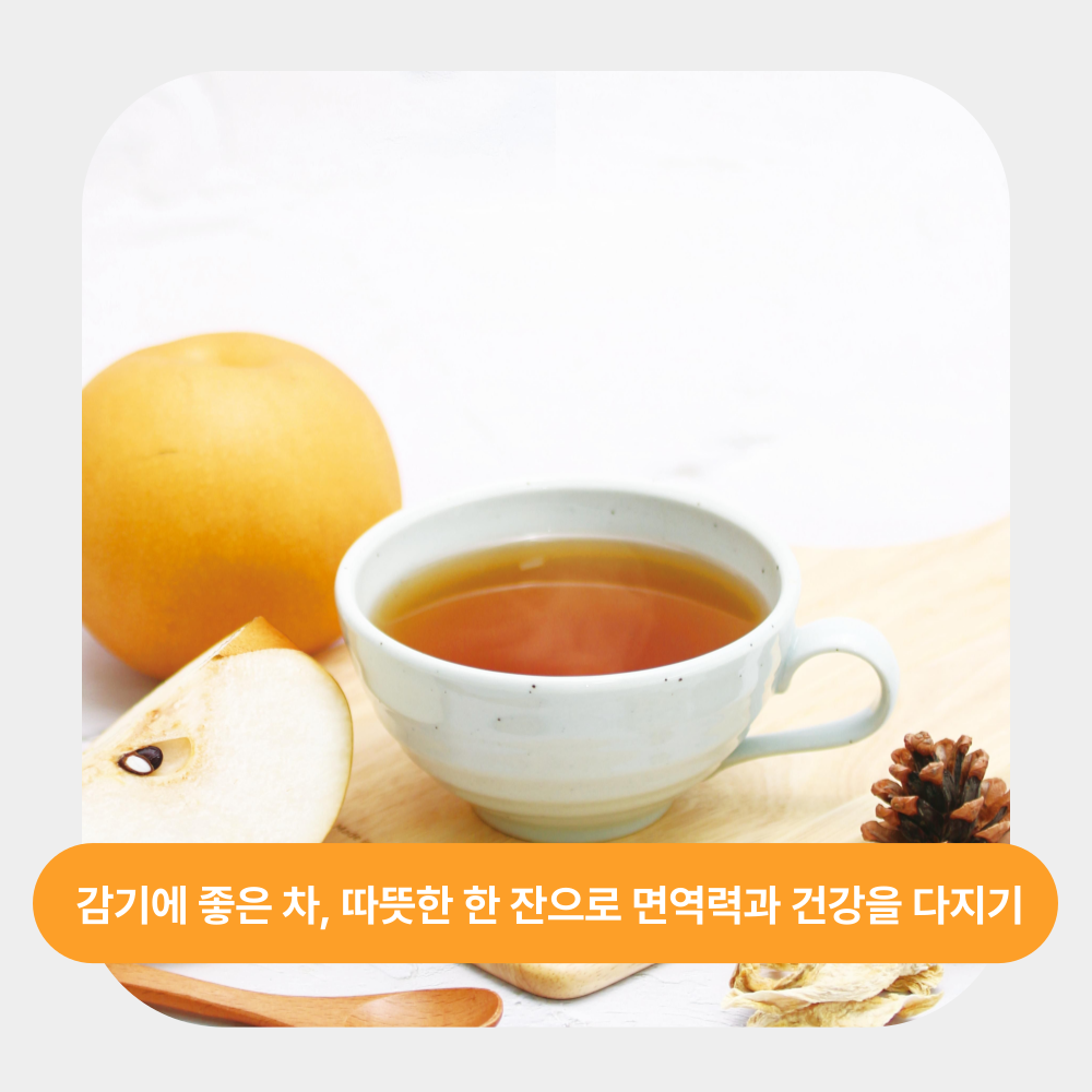 감기에 좋은 차, 따뜻한 한 잔으로 면역력과 건강을 다지기