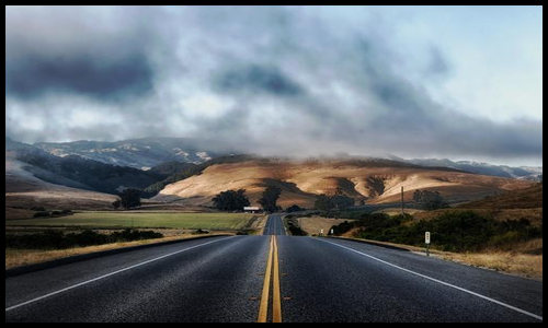 아르기닌 효능 알아보기11