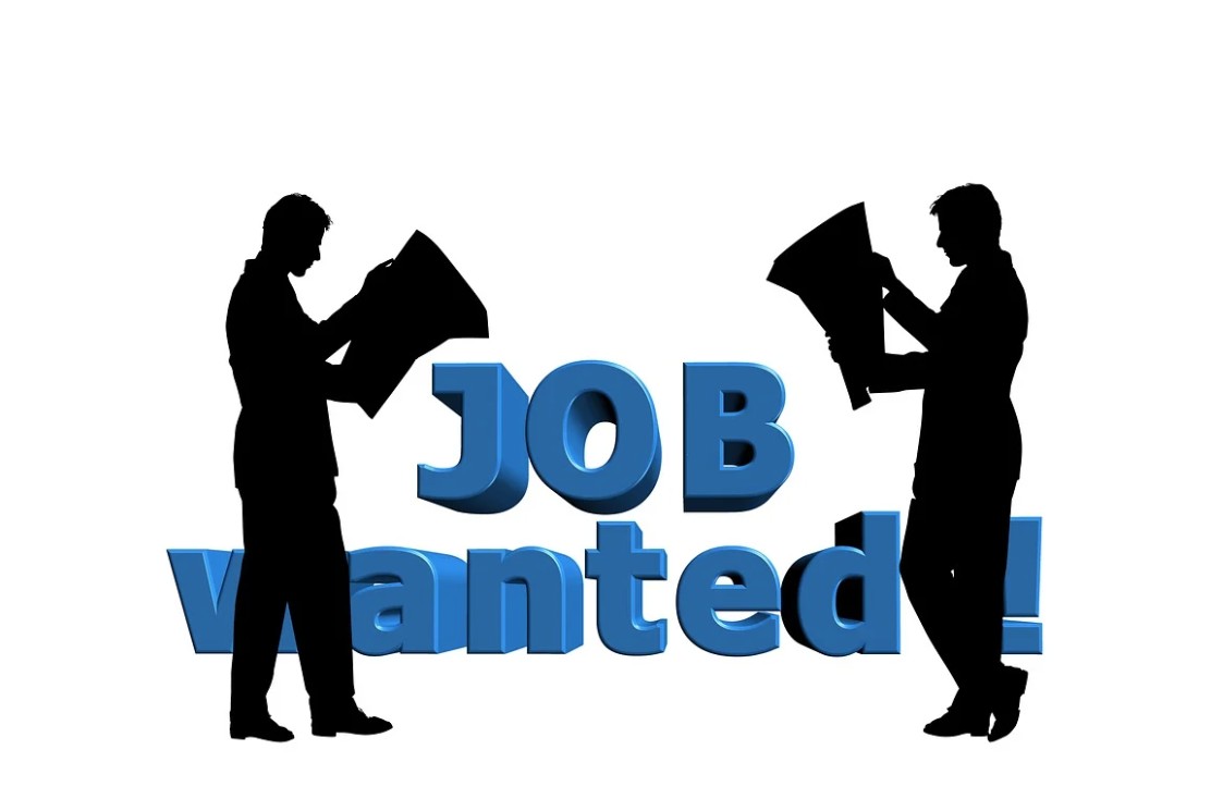 공무원 채용 확대? 2025년 트렌드 정리 관련 사진