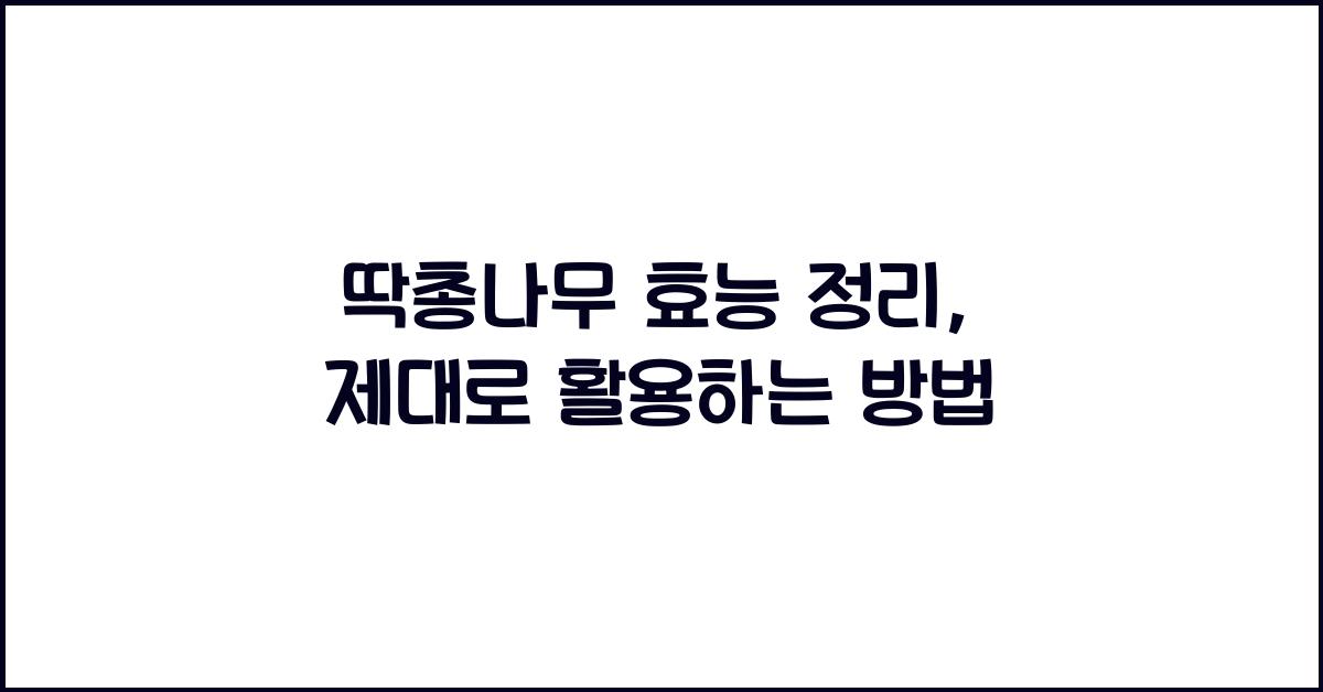 딱총나무 효능 정리