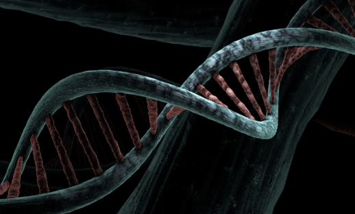 Multi-omics Integration에서 발생하는 해석 오류