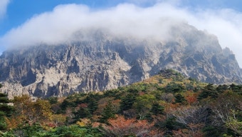 제주 한라산 단풍