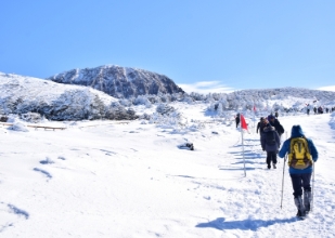 한라산 실시간 CCTV