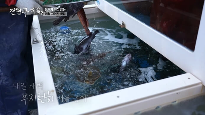 횟집수조