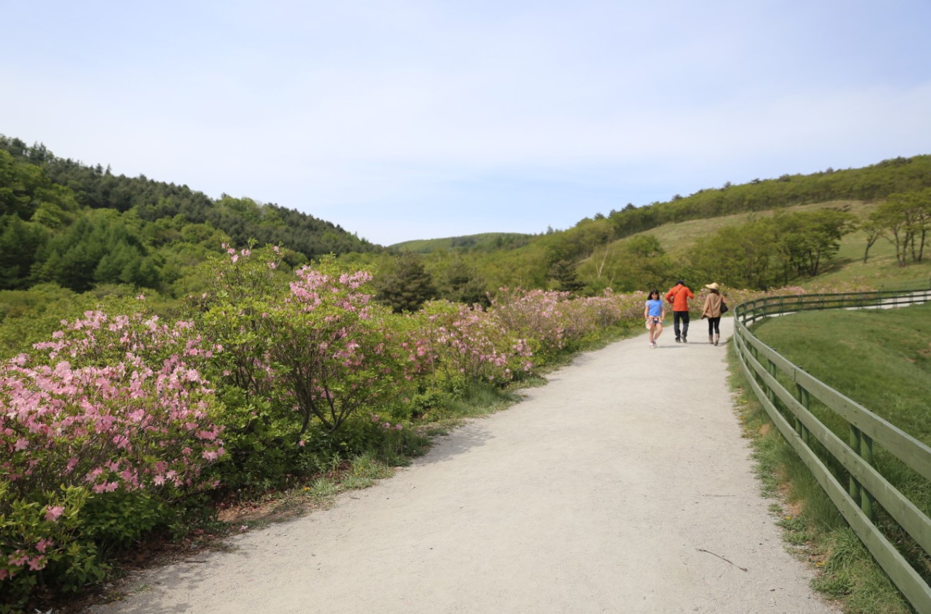 목장산책