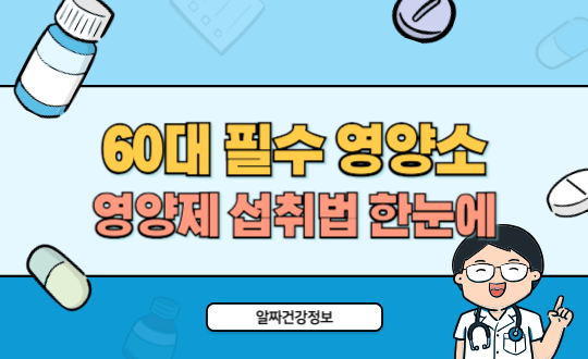 60대 필수 영양소 정리 단백질·영양제·섭취법 한눈에