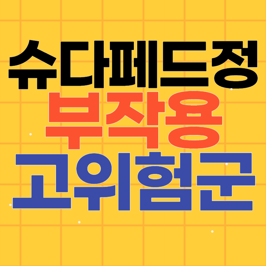 슈다페드정 부작용 알아보기 (고위험군 주의사항)