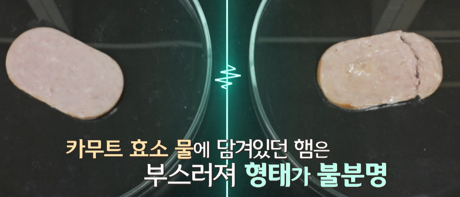 카무트 효소 효능