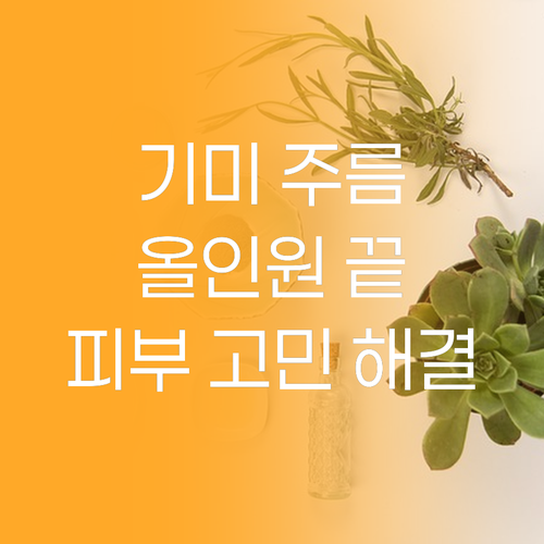기미, 주름 고민 끝! 이케이뷰티 올..