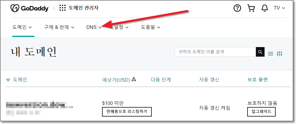 DNS 확인