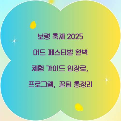 보령 축제 2025 머드 페스티벌