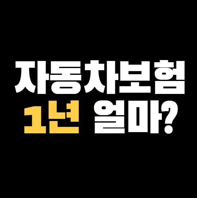 자동차보험 1년 얼마일까? ❘ 계산 조회 방법 총정리!