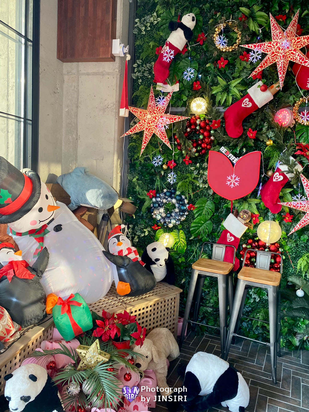 ๋ ๋ํ์ดํ ํฌํ ์กด