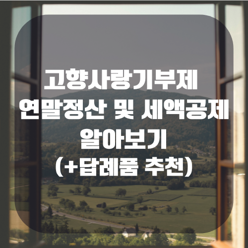 고향사랑기부제 연말정산 및 세액공제 정리(+답례품 추천)