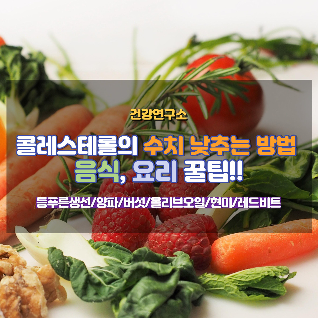 콜레스테롤 수치 낮추는 방법