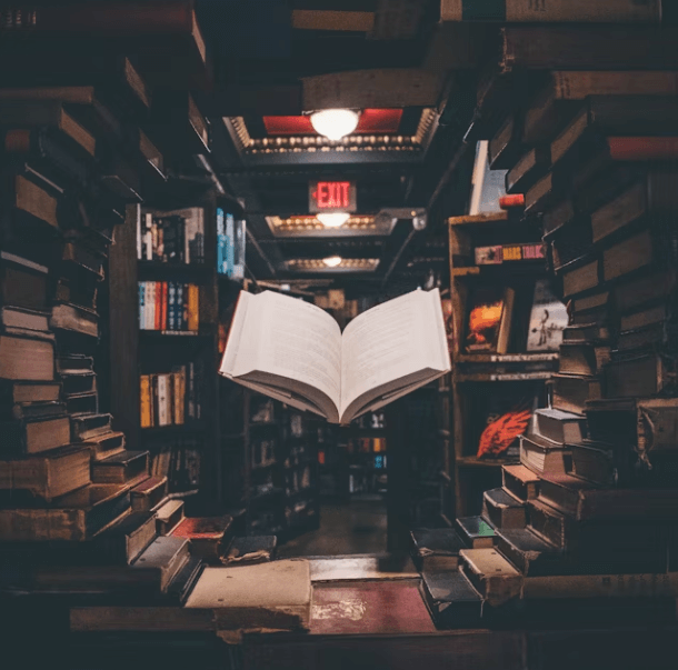 11월 서울 팝업! 젤리캣&middot;위키드 실내 나들이 TOP 3 