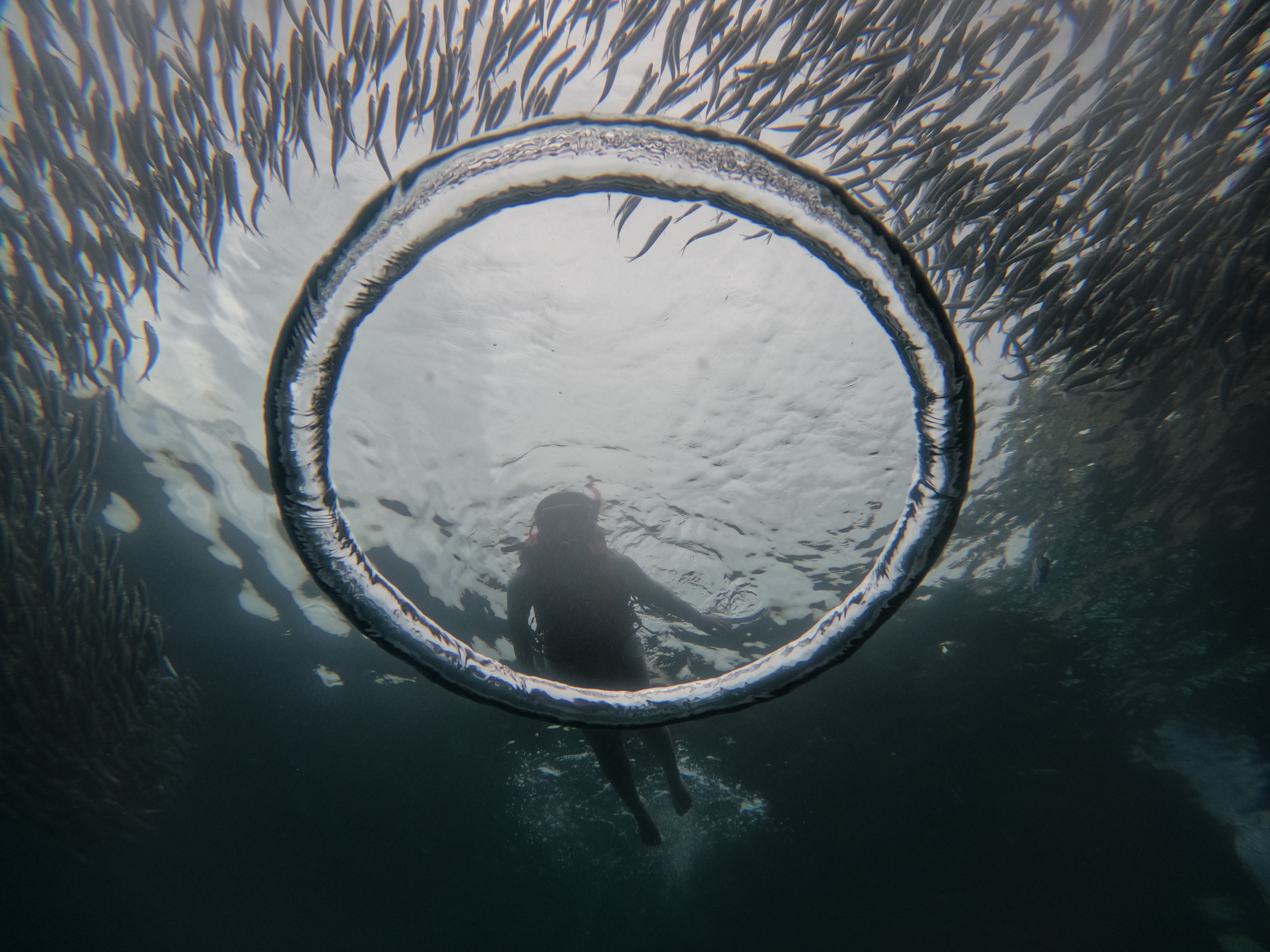 로컬페이지 발리카삭 나팔링 투어
