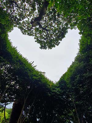 킹더랜드 촬영지