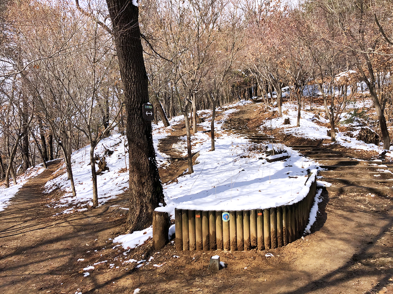 일반 산길