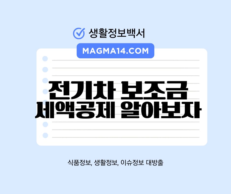전기차 보조금 세액공제 총정리