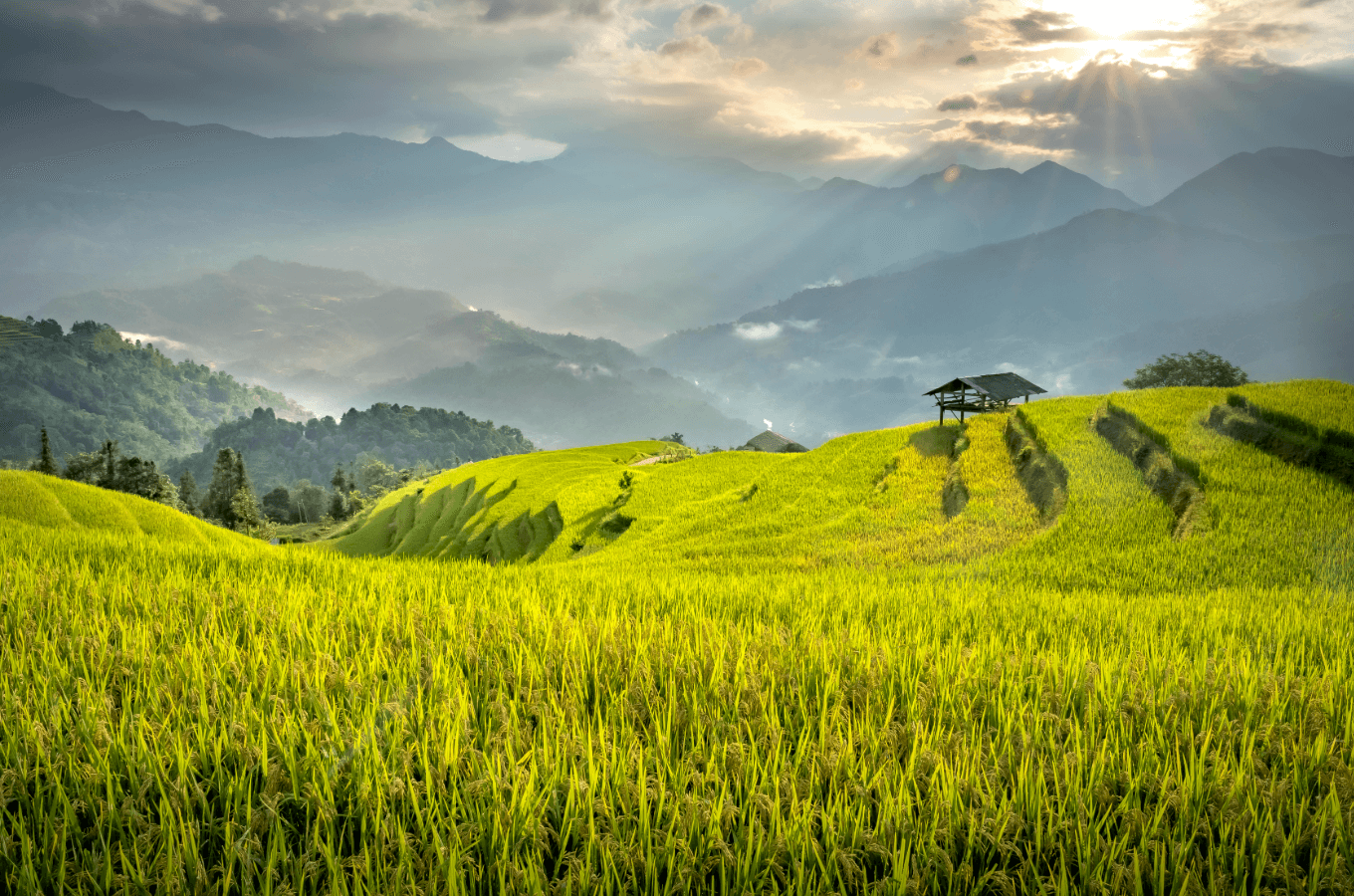 기획부동산 사기 후기