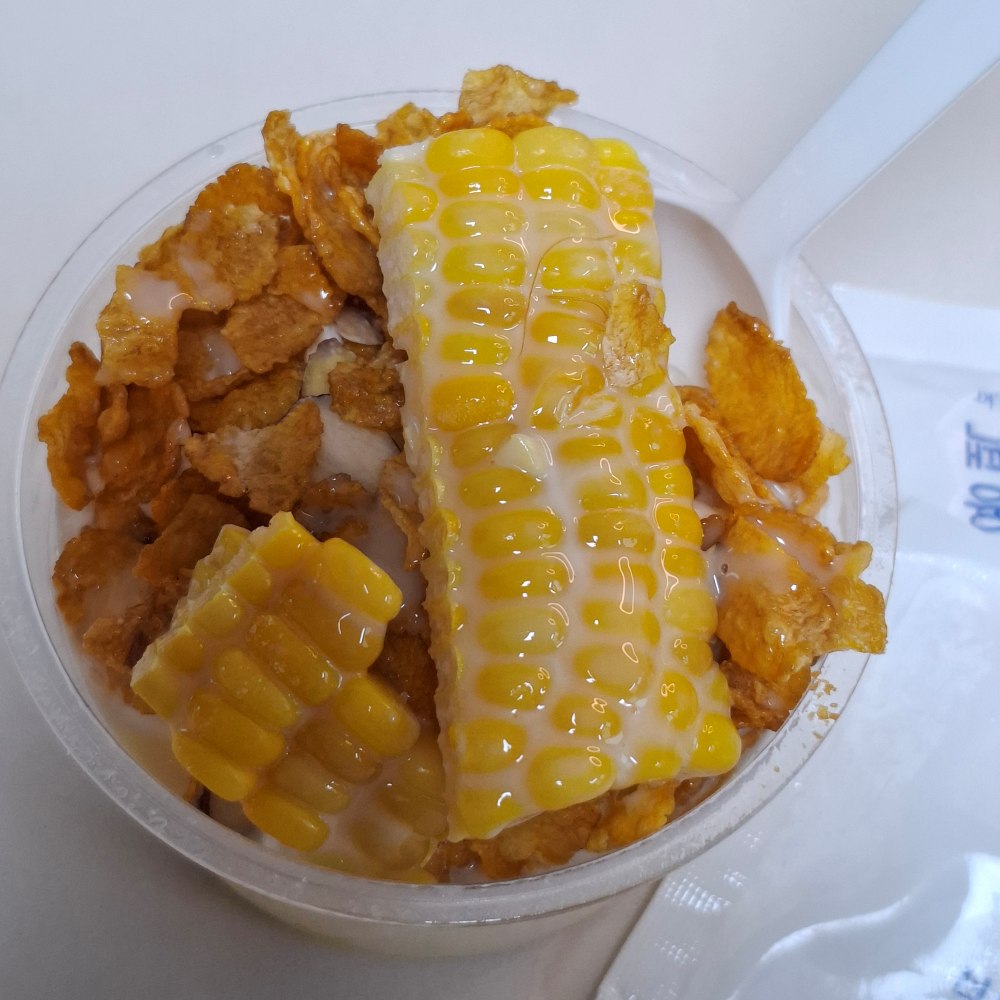 인기 있는 1인 빙수 맛과 가격 비교