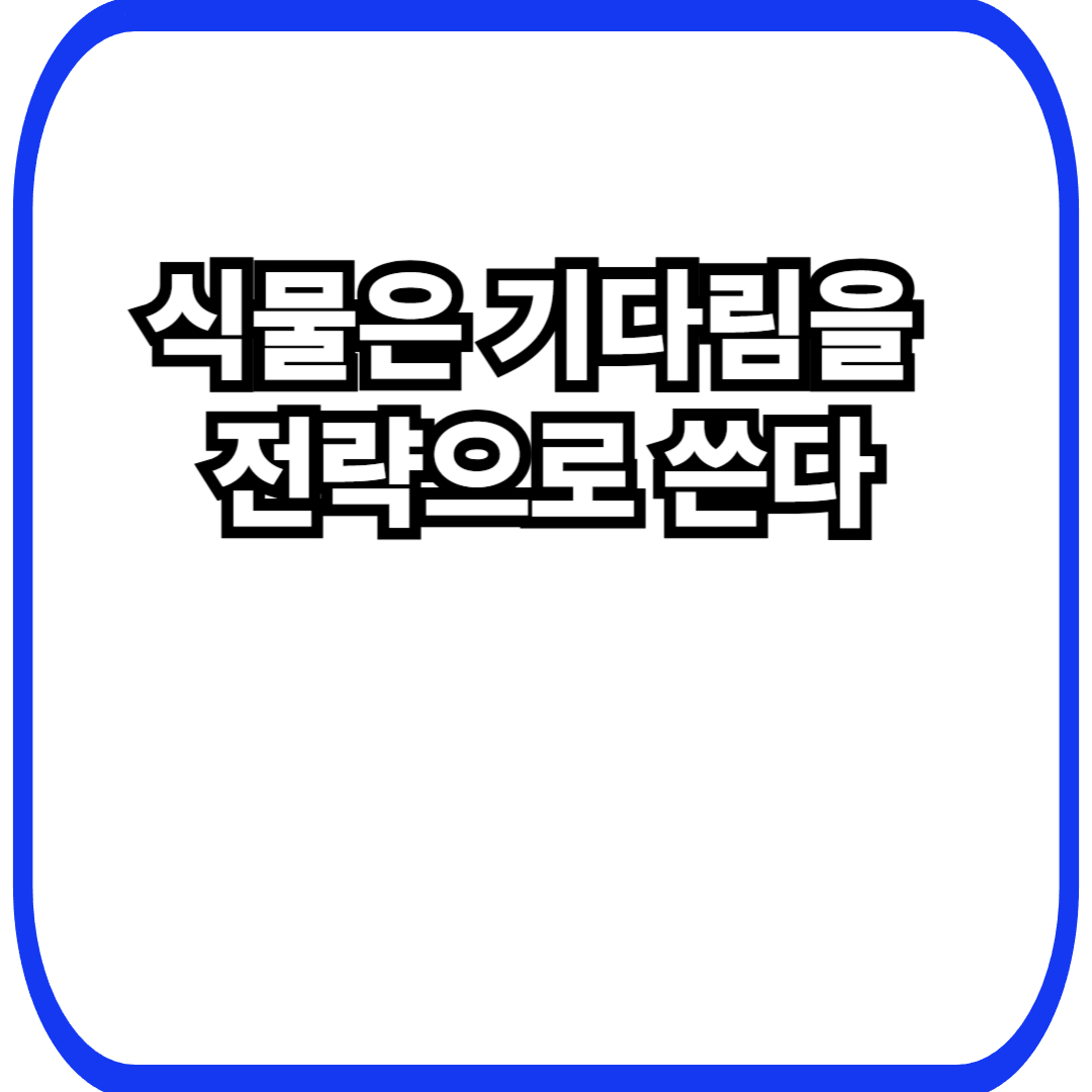 식물 대기 전략에서 시작되는 생존 설계, 아무것도 하지 않는 시간이 만드는 결정적 차이