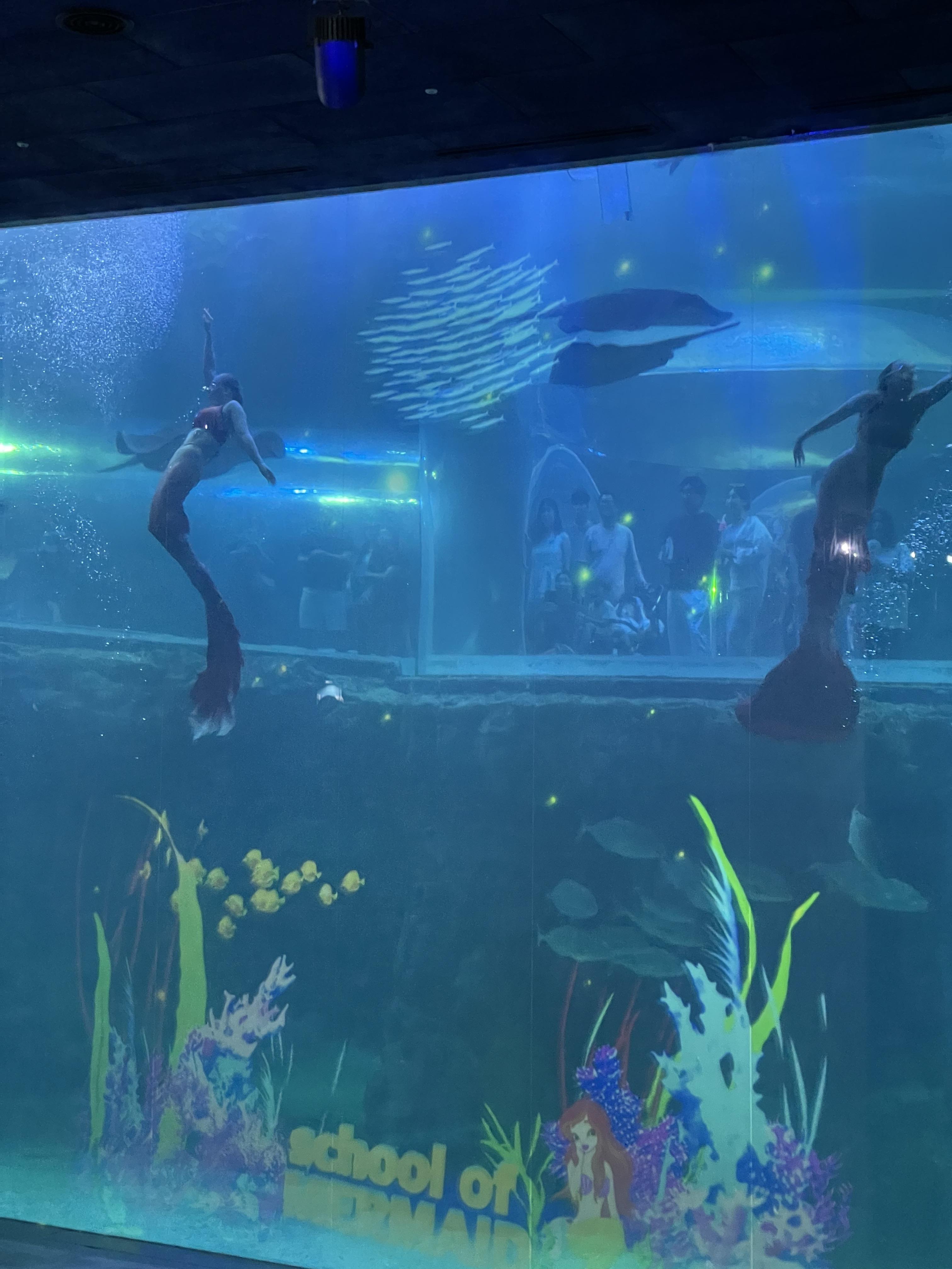 여수 아쿠아플라넷